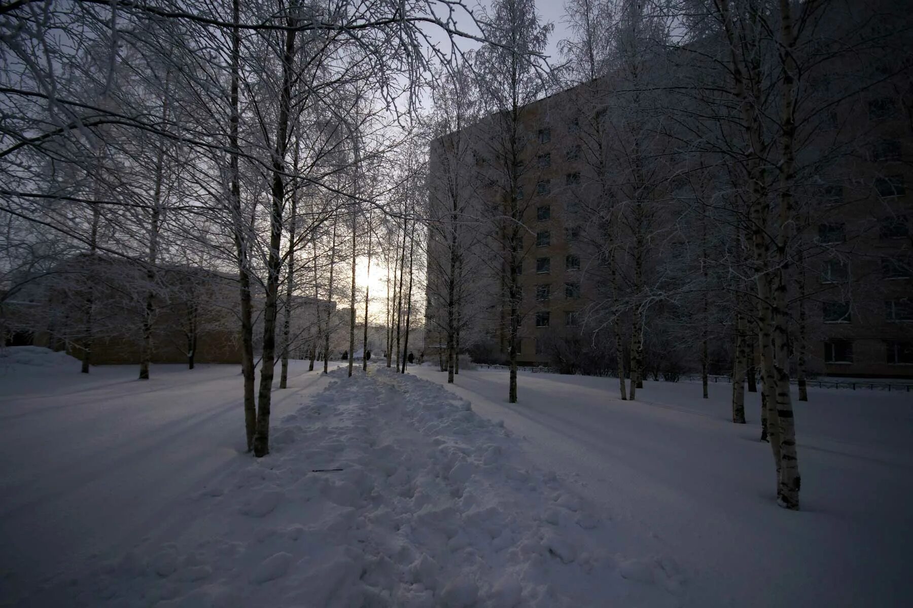Больница александровская 3. Давыдковская больница зимой. Глушково больница зимой. Вид из больницы зимой. Вид из окна больницы зимой.