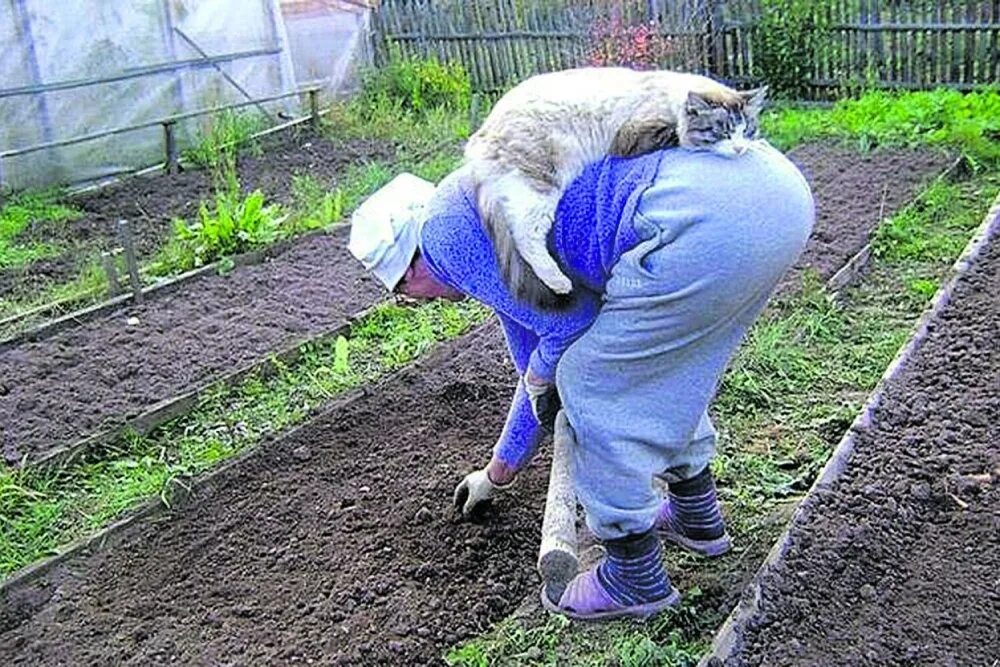 У нее нет забот. У нее нет забот