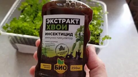Экстракт видео