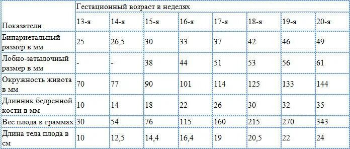 Окружность головы окружность живота. Длина плечевой кости плода по неделям беременности таблица. Длина бедра плода по неделям беременности таблица. Длина бедренной кости по неделям беременности таблица. Лобно-затылочный размер головки плода по неделям норма таблица по УЗИ.