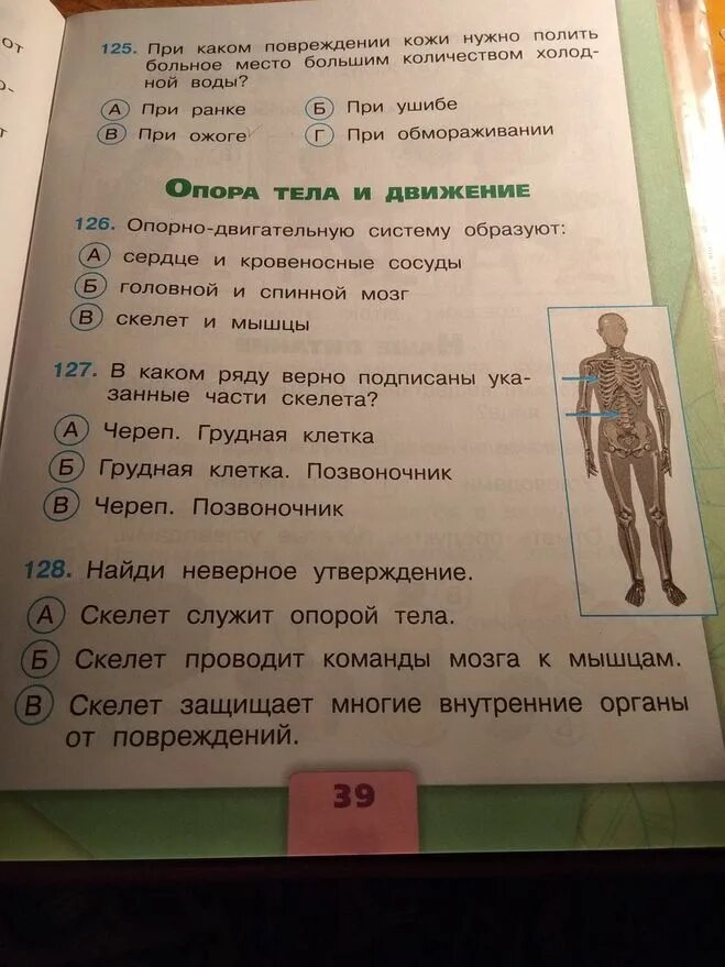 Тест по окружающему миру 3 класс. Окружающий мир 3 класс тесты с ответами. Окружающий мир. 3 Класс. Тесты. Плешаков тесты 3 класс. Тест по окружающему миру третий класс плешаков