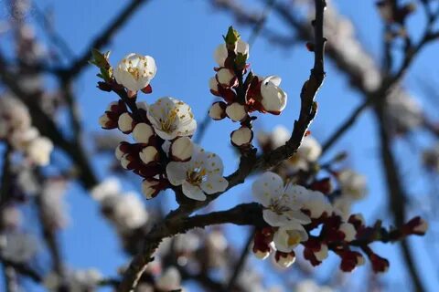 2 мгновения весны