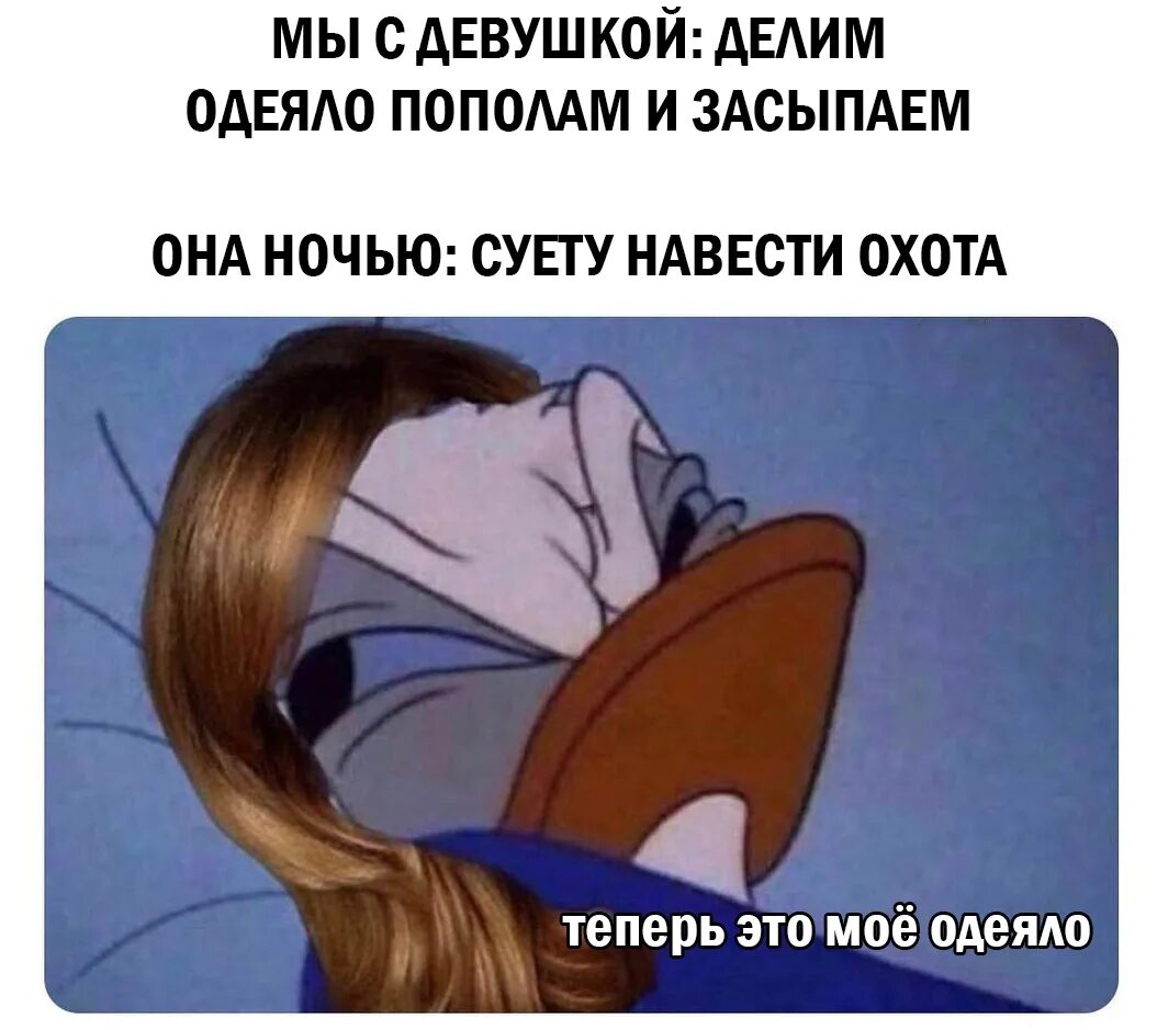 Наводящие суету. Наводил суету кот. mdk мемы. суету навести. суету навести охота кот.
