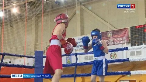 Бокс великий новгород