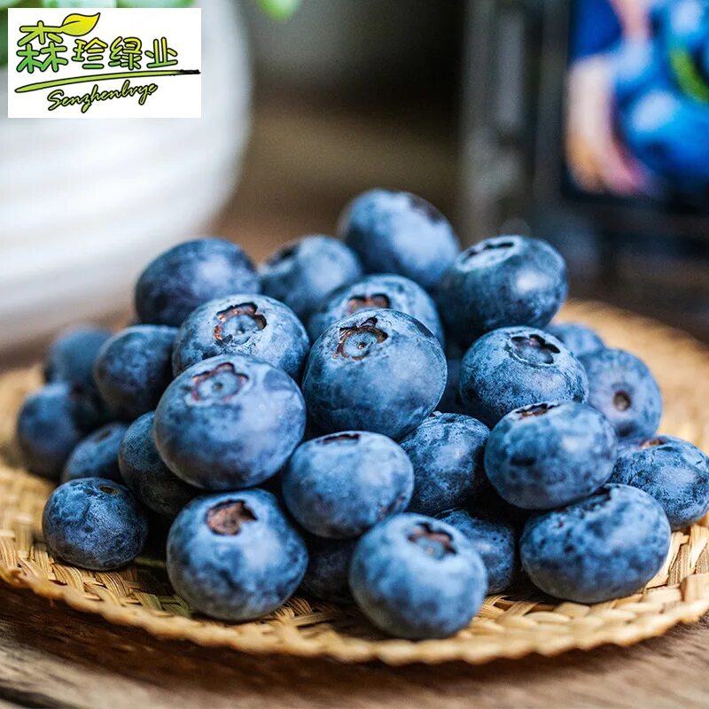 Blueberry ежевика. Черника блуберри. Blueberry фф. Blueberry фф. Blueberry фф.