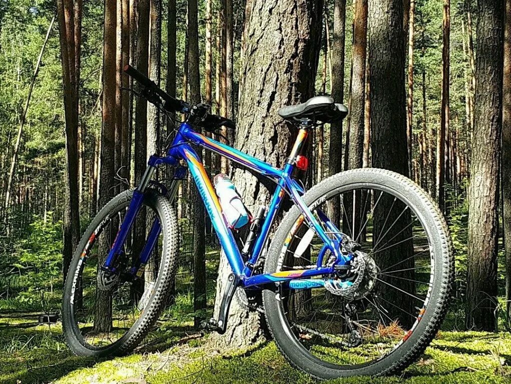 Л 27 5. Mongoose Tyax Comp 27.5. Mongoose Tyax Comp. Mongoose Tyax Comp 27.5 2019. Мангуст велосипед Tyax Comp 2015.