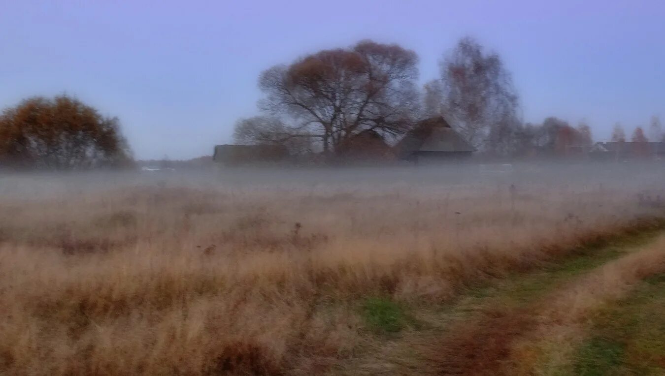 Деревня осень туман. Туман в деревне вечером. Осенний туман в деревне. Туман в деревне осенью.