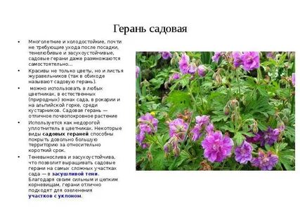 Садовое описание
