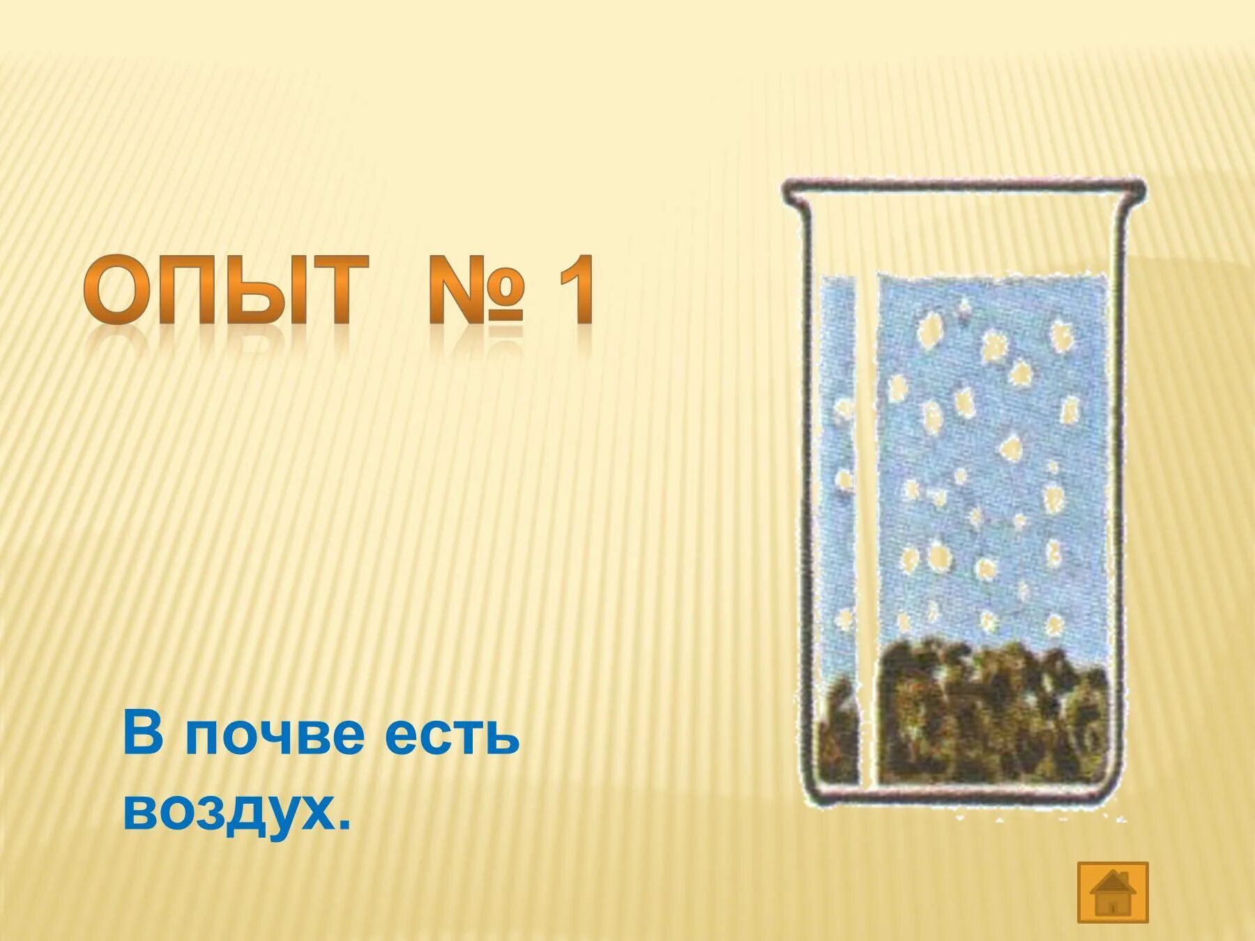 Как доказать что в почве есть глина. Опыт кусочек почвы в воде. в почве есть воздух или нет. опыт с почвой верёвочкой. коробки с почвой для опытов.