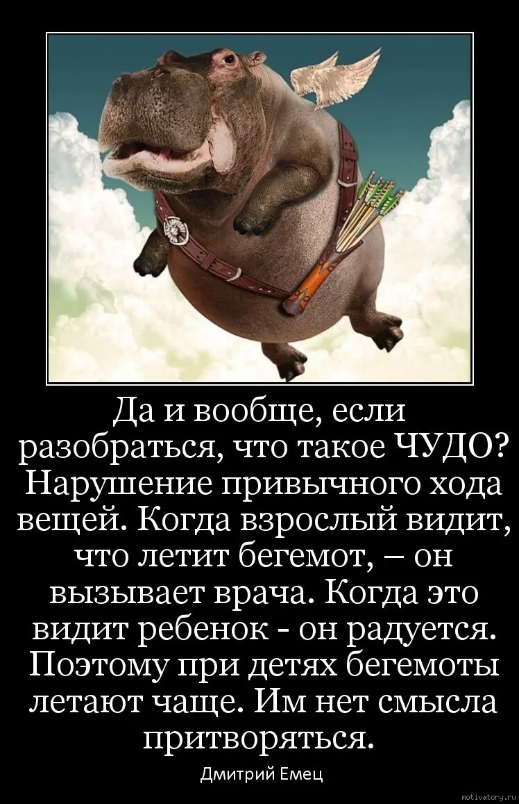 Что такое чудо. Мотиваторы и демотиваторы. Прикольный мотиватор. Мотиваторы юмористические. Мотиватор и демотиватор.