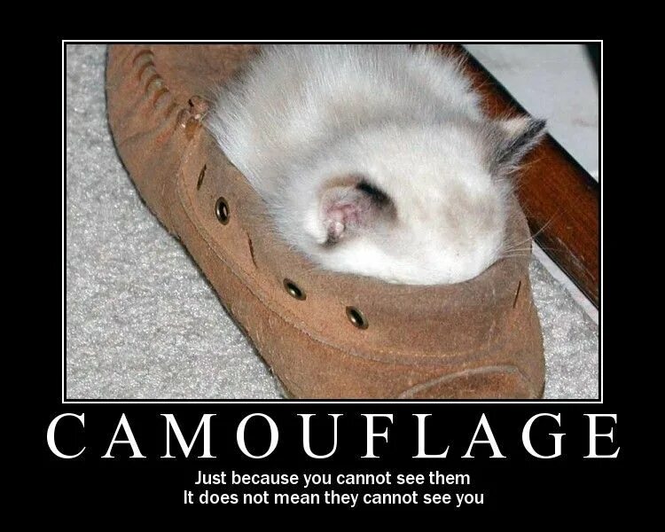 You cannot see me