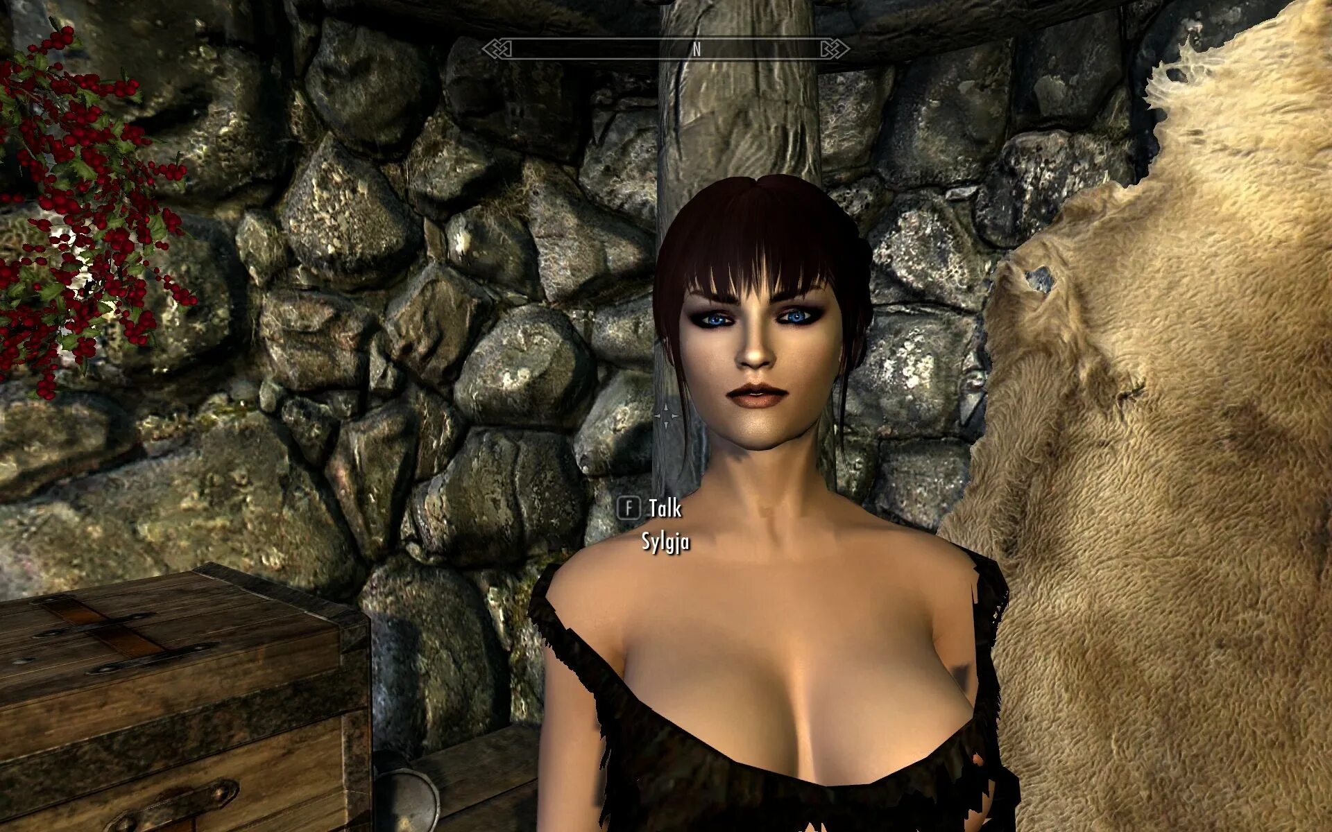 Skyrim мод npc