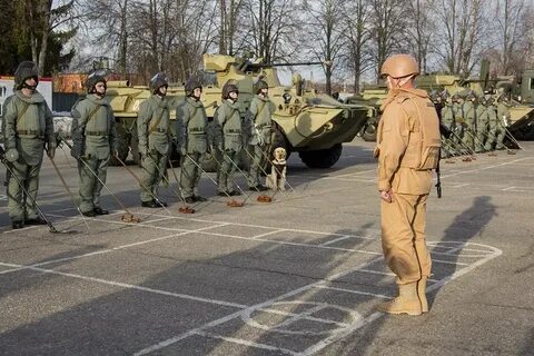 26 раз саперы