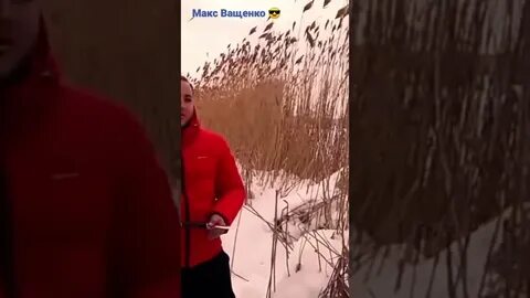 Видео макс маньяк