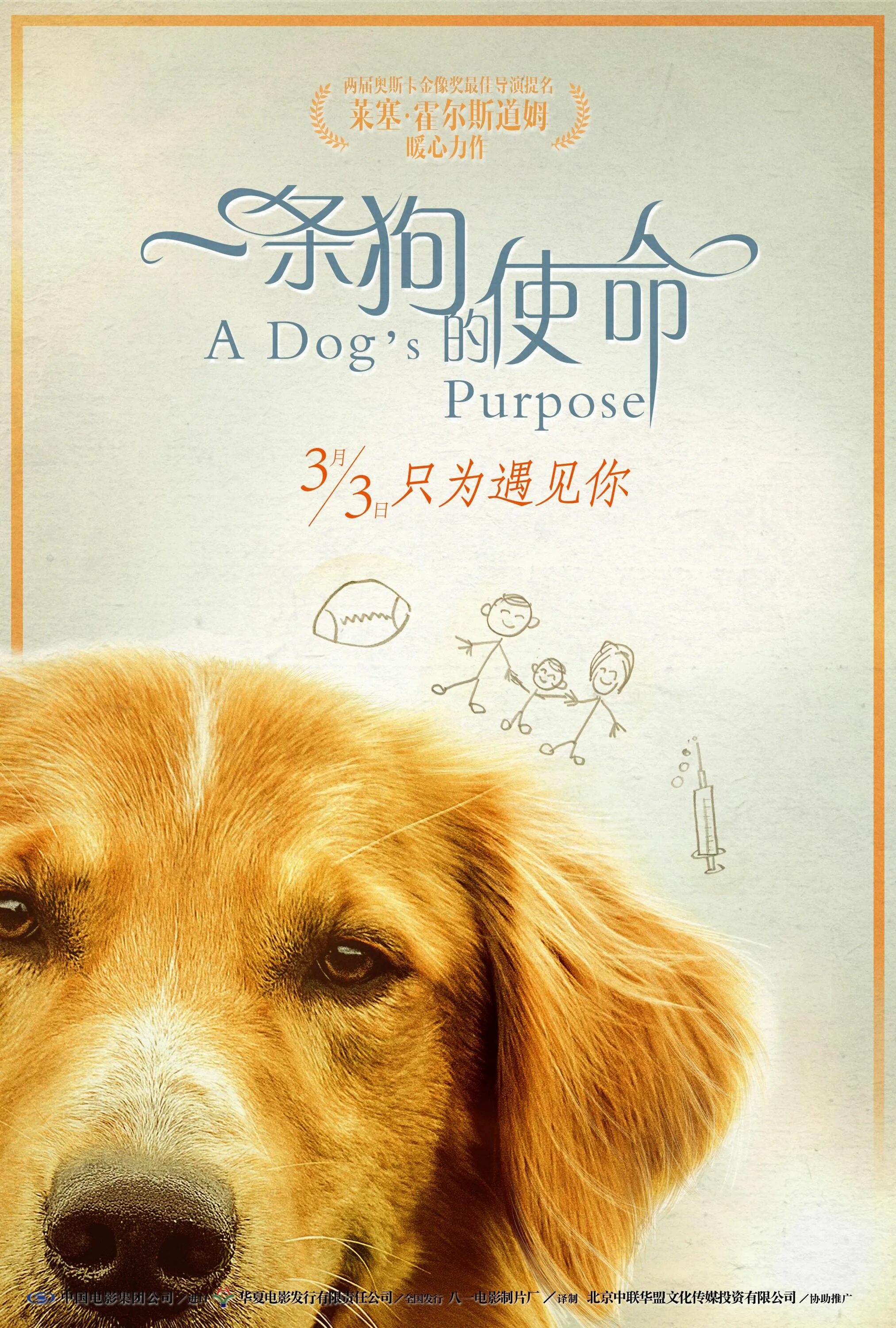 Life is dog