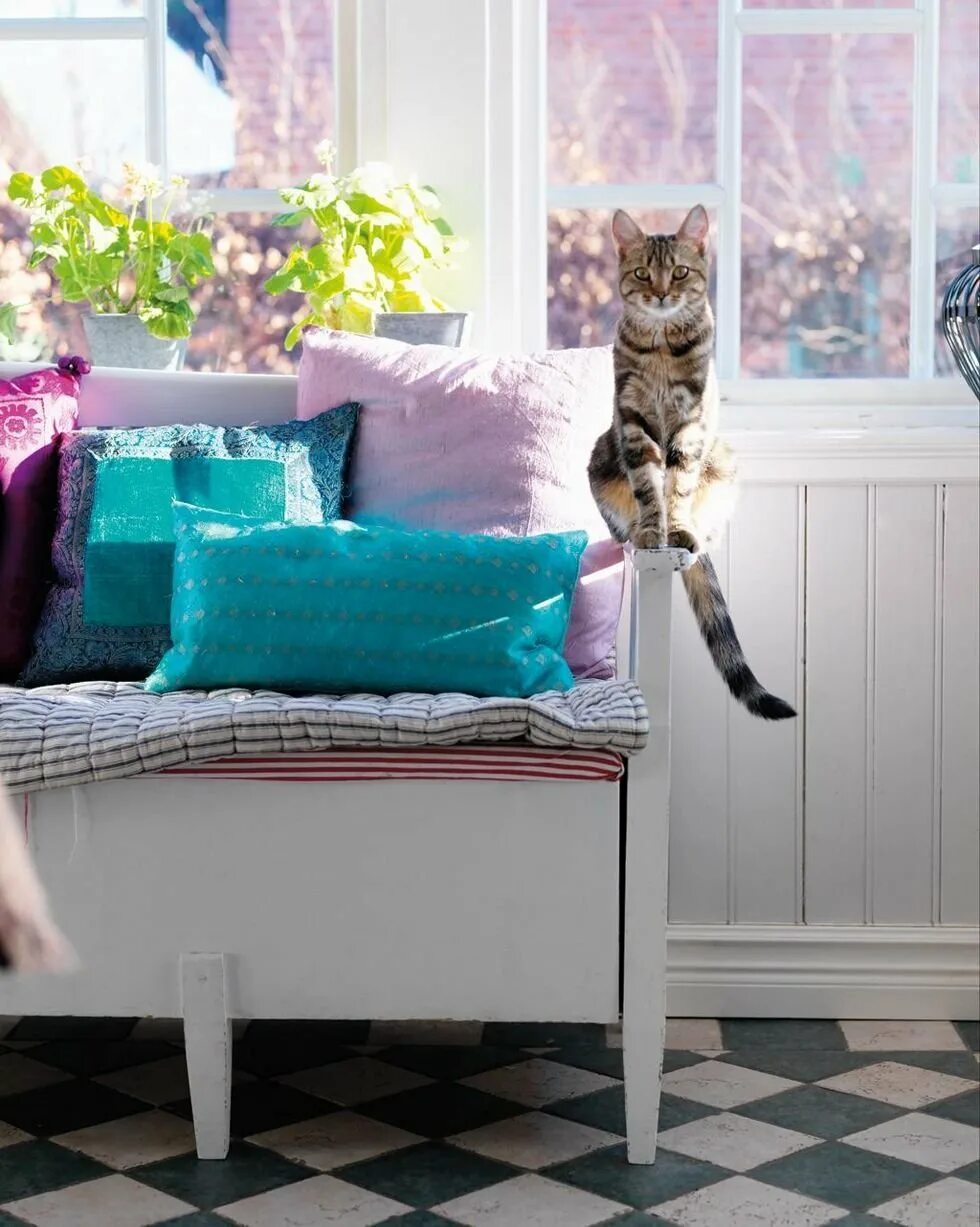 В комнате три кошки. В комнате три кошки. Дом для кошки. Домашние кошки. В комнате четыре угла в каждом углу сидит кошка напротив каждой.