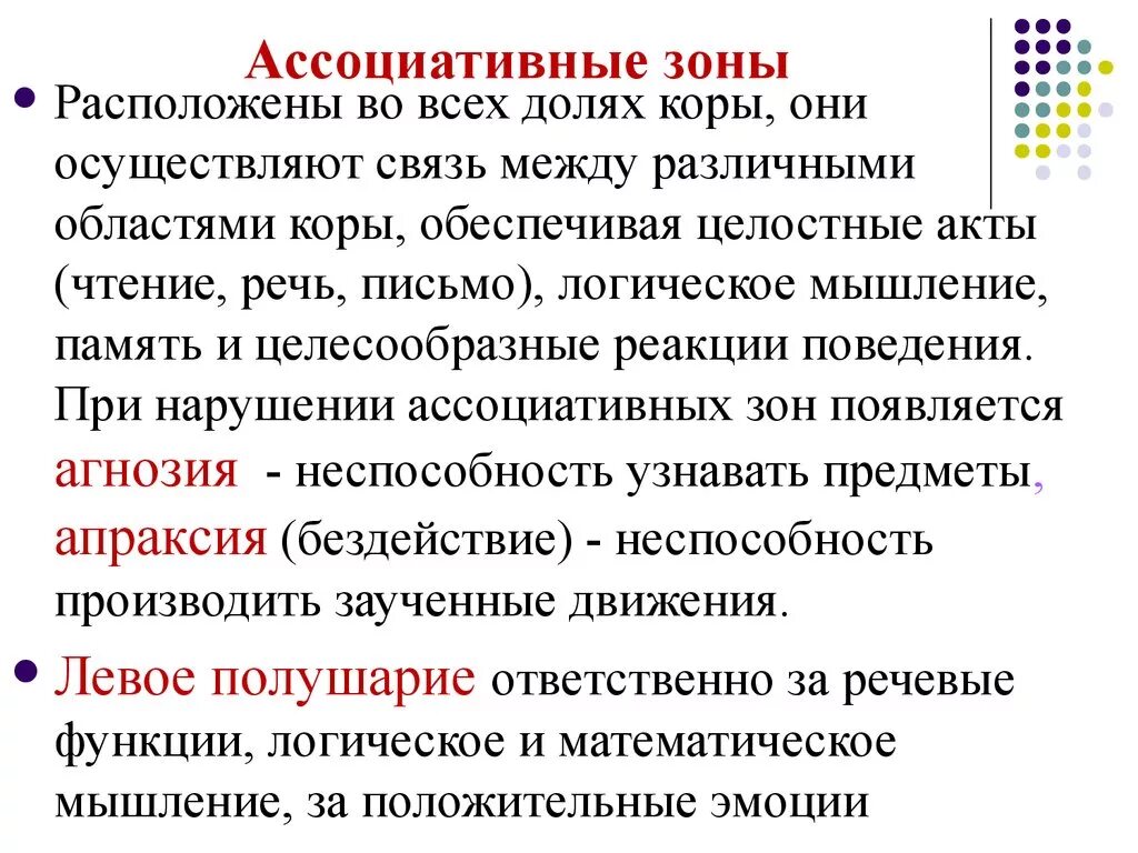 Ассоциативные зоны коры мозга. Ассоциативные области коры функции. Ассоциативные зоны коры. Ассоциативные зоны головного мозга. Ассоциативная зона коры головного мозга.