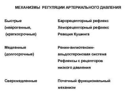 Механизмы саморегуляции кровяного давления