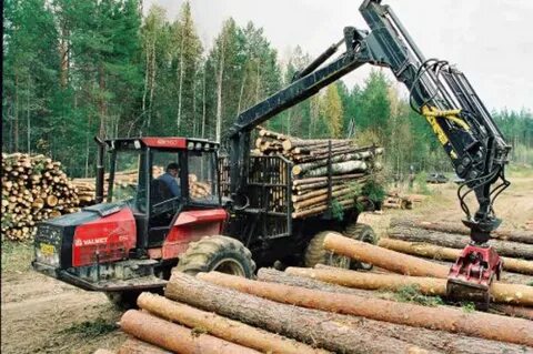 Заготовка леса процесс