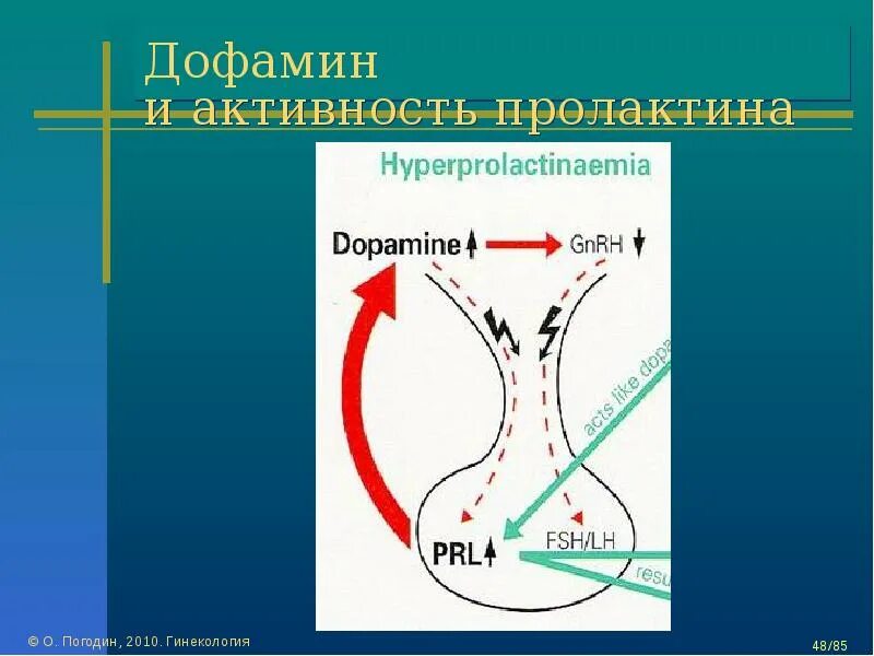 Дофамин и пролактин. Дофамин и пролактин связь. Синтез пролактина. Взаимосвязь пролактина и дофамина.