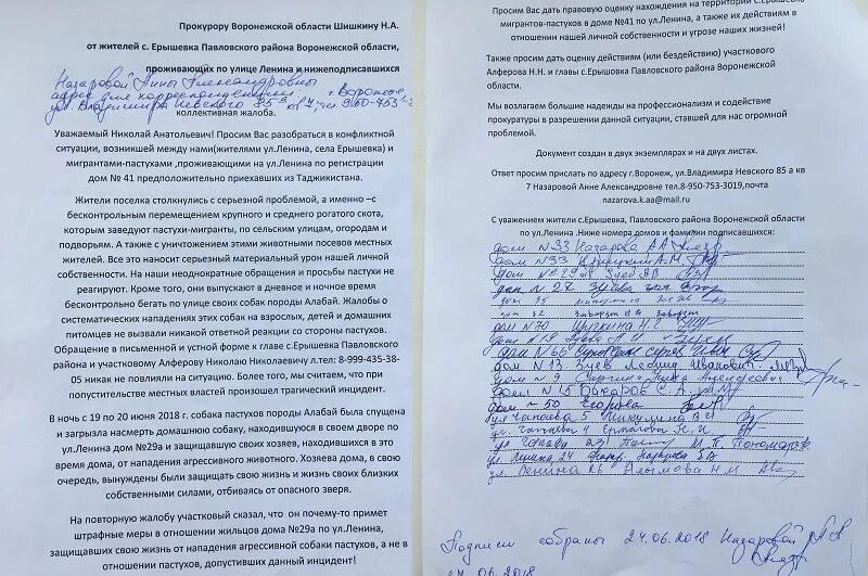 Как написать жалобу на участкового. Пример коллективной жалобы на соседей. Коллективное заявление в полицию. Коллективное письмо в полицию. Заявление в полицию на собаку образец.