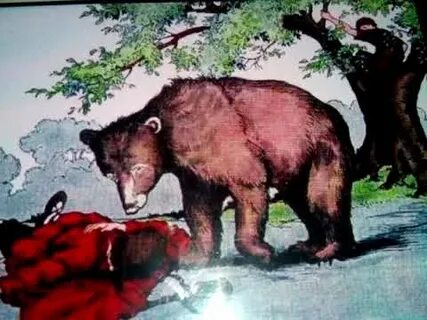 Два товарища видео