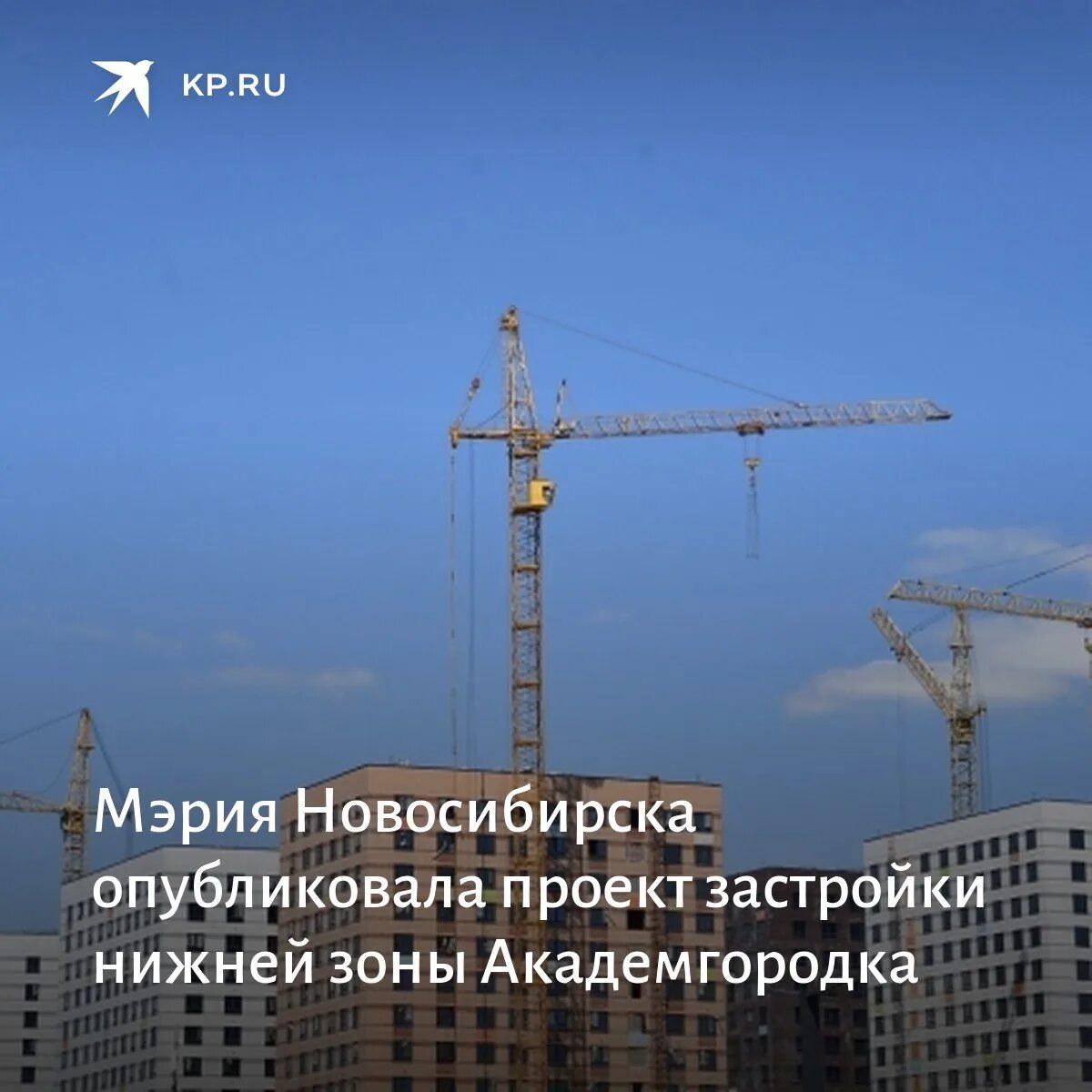 Коля запланировал в специальном приложении