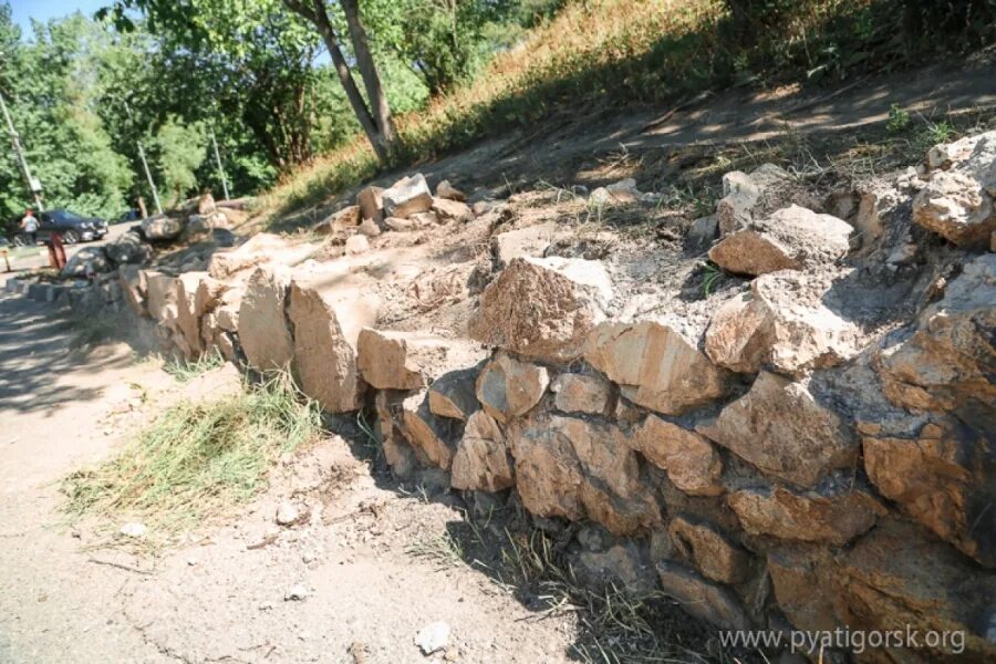 В Железноводске расследуется уголовное дело о краже голубой ели