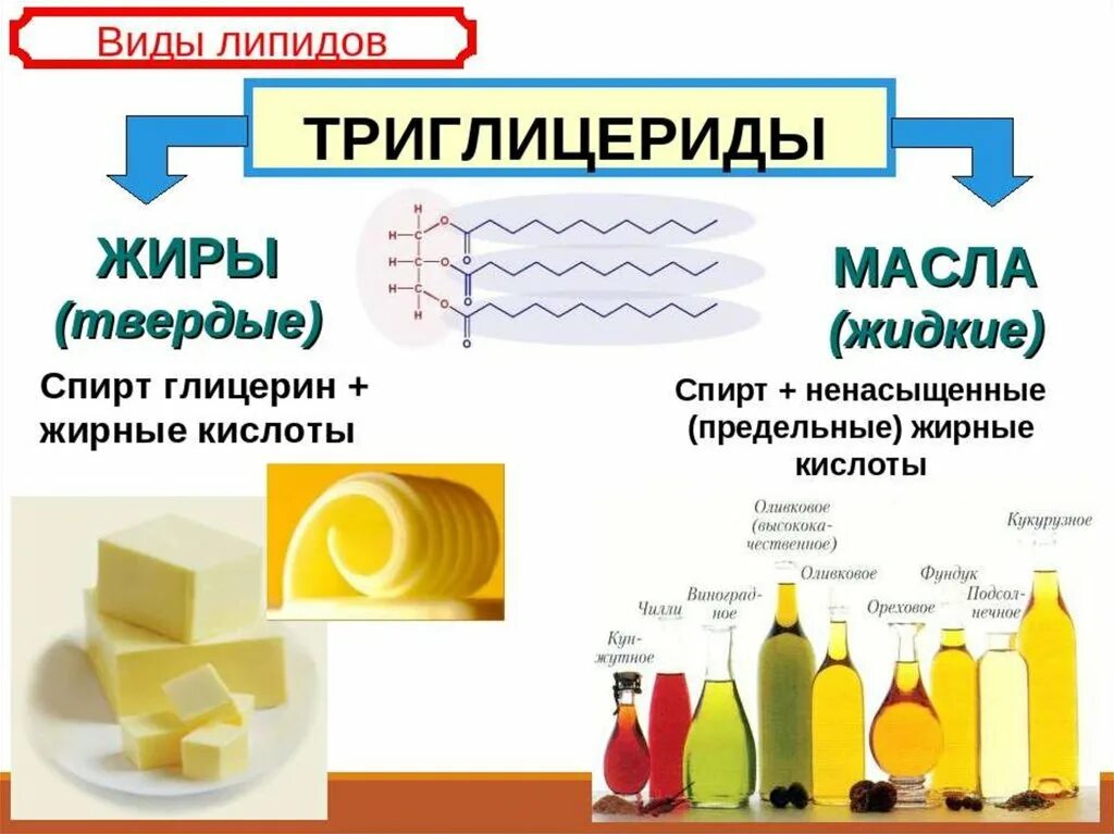 Твердые жиры при комнатной температуре. Липиды жиры и масла. Триглицериды масла. Триглицериды растительных масел. Триглицериды жиры и масла.