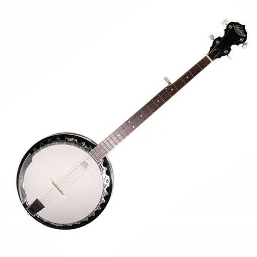 Щипковый музыкальный инструмент 6 букв. Струнный щипковый музыкальный инструмент 4 буквы. Щипковый музыкальный инструмент 6 букв. Банджо струнные щипковые музыкальные инструменты. Идиофон музыкальный инструмент.