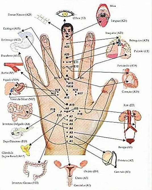 Акупунктурные точки на руке человека. Точки акупунктуры на руке схема. Иглоукалывание точки на руках схема. Акупунктурные точки на руке человека схема. Точки на руках для массажа