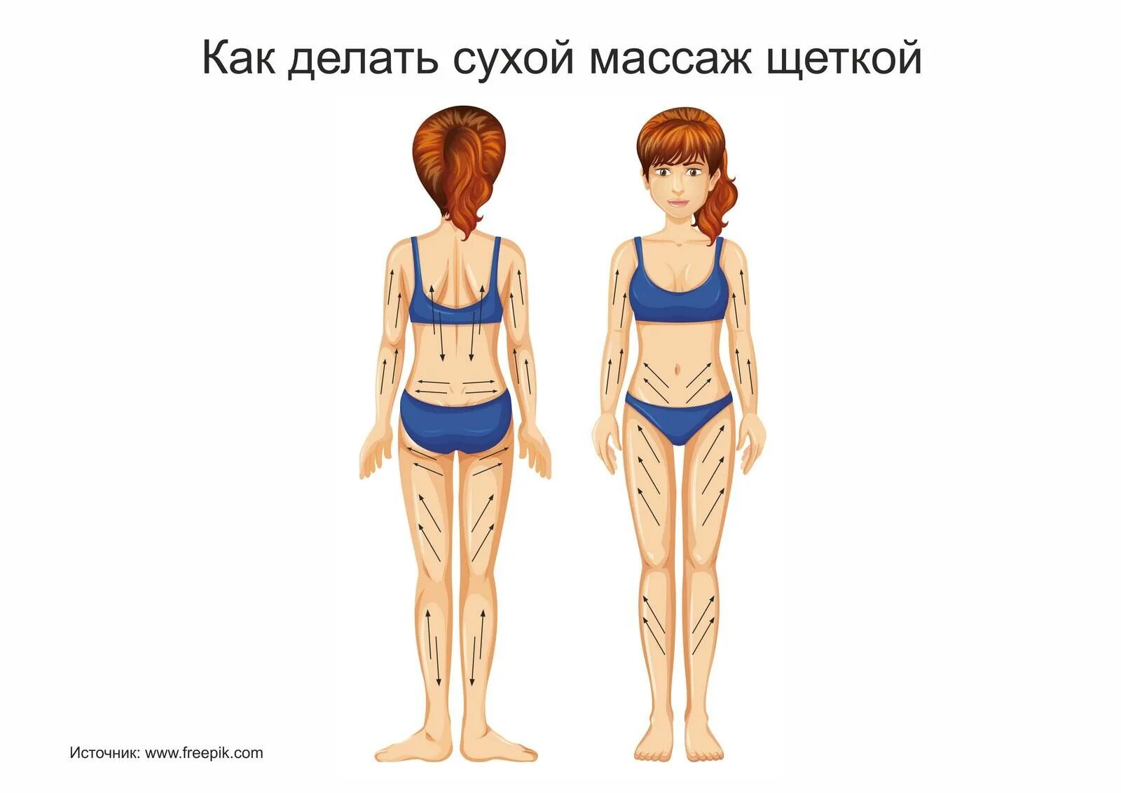 Массаж сухой щёткой техника от целлюлита схема. Схема массажа сухой щеткой. Массаж дренажной щеткой схема. Схема массажа сухой щеткой от целлюлита.