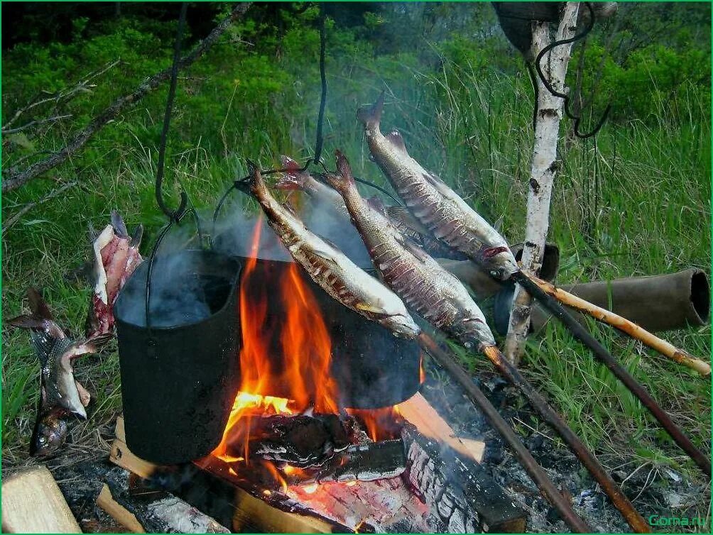 Шашлыки на природе. Шашлык на костре. Шашлык на речке. Жареная рыба на природе. Рыбалка в тайге на озера