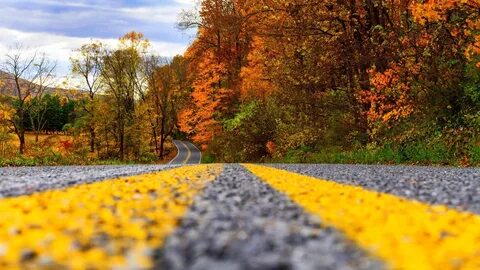 Fall road