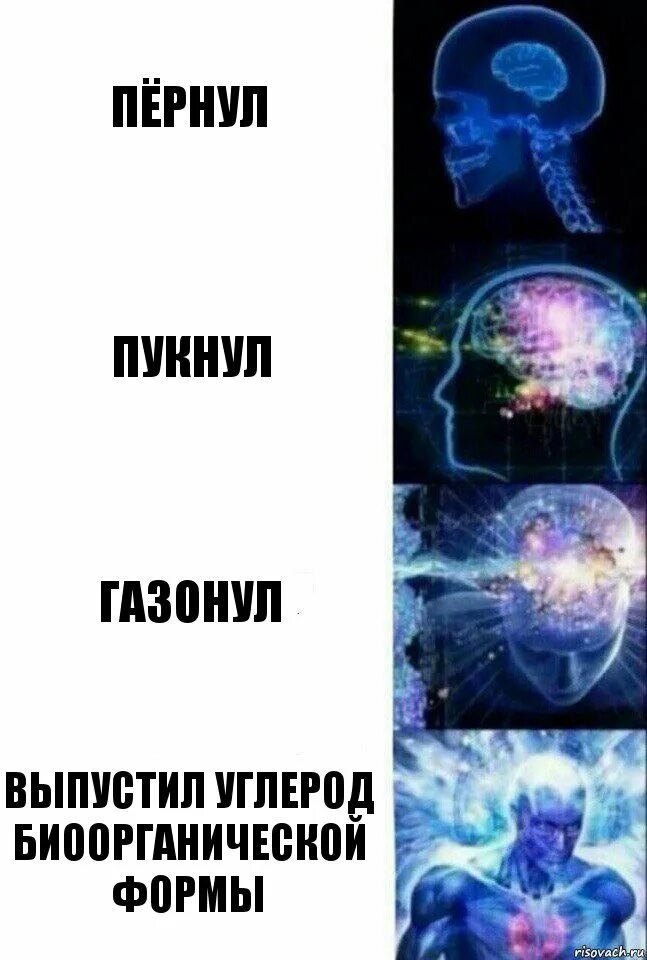 Сколько раз в день пукает. Сверхразум гиф.