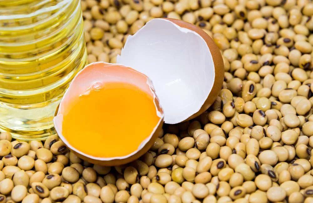 Lecithin
