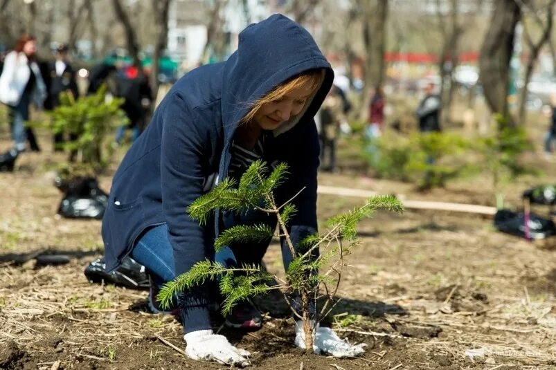 День посадки деревьев. Посадка деревьев тирасполь. высадка деревьев тирасполь. акция весенняя неделя добра. деревья в приднестровье.