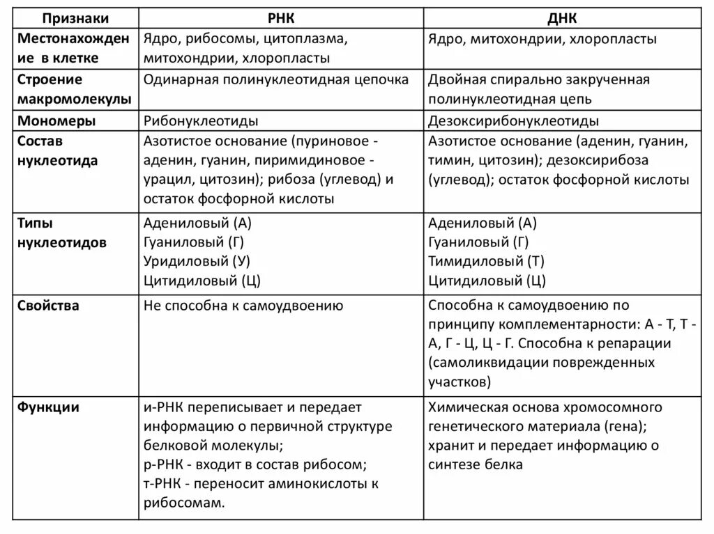 Признаки местоположение. Строение макромолекулы РНК таблица. Сравнительная характеристика структуры и функций ДНК И РНК.