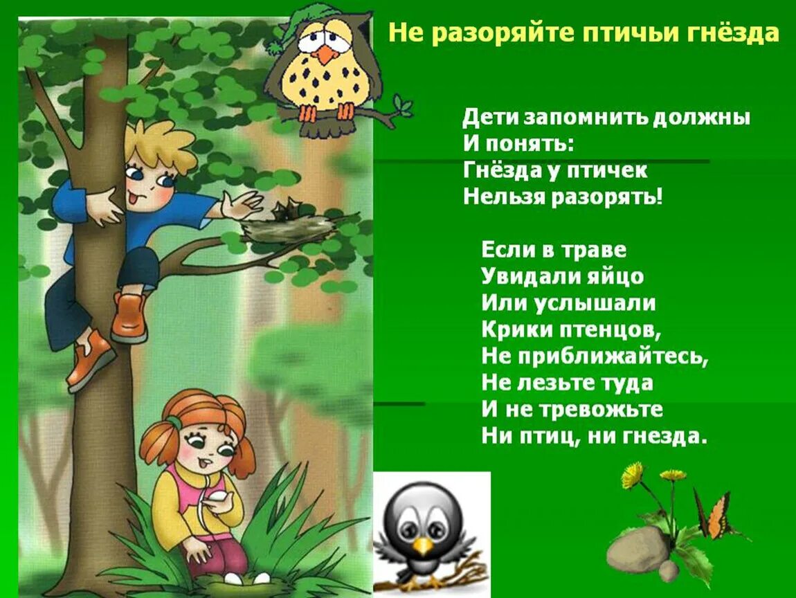 Правила поведения в природе в картинках. Не разоряй птичьи гнезда. Правила поведения в лесу не разоряй гнезда. Правлаповедеявприроде. Правила поведения в Дему.