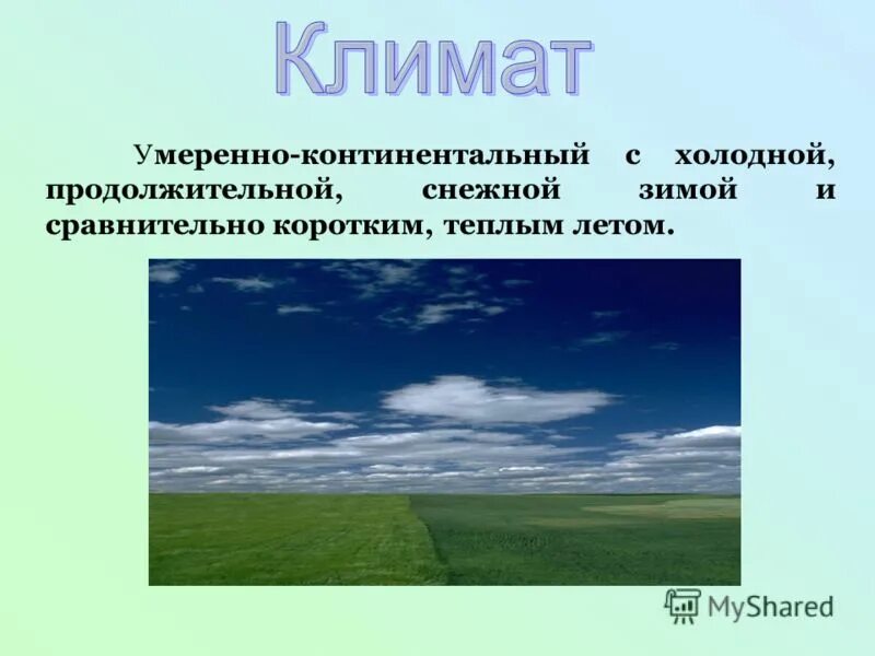 Почему природа уникальна