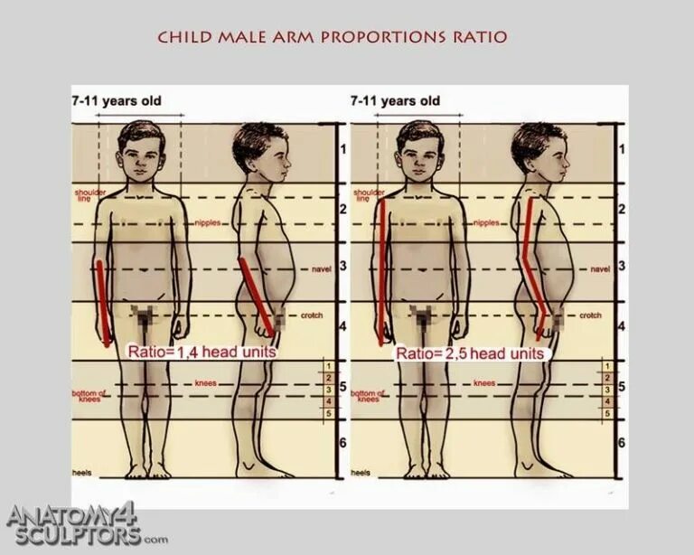 Complete with giving proportion take