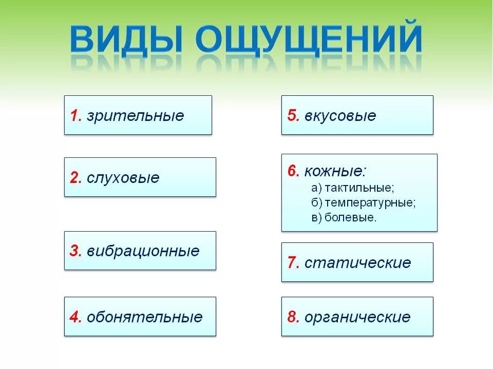 Ощущение свойственный. Типы ощущений. Схема виды ощущений психология. Перечислите виды ощущений. Формы ощущений в психологии.