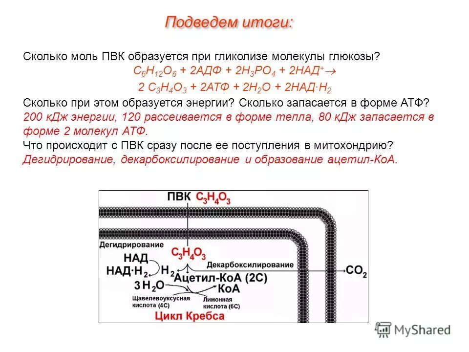 Пвк сколько атф