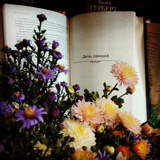Лето прощай цитаты
