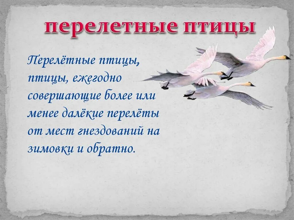 Стихи про перелетных птиц для детей