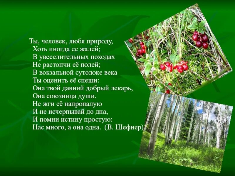 Как называют человека любящего природу. Ты человек люби природу. ты человек любя природу хоть иногда ее жалей. чел любит природу. стих ты человек любя природу хоть иногда её жалей.