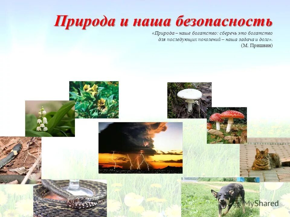 Опасности в природе для человека. Природа и наша безопасность 3 класс видеоурок. Проект на тему природа и наша безопасность. Признаки приближающейся грозы. Природа и наша безопасность презентация.