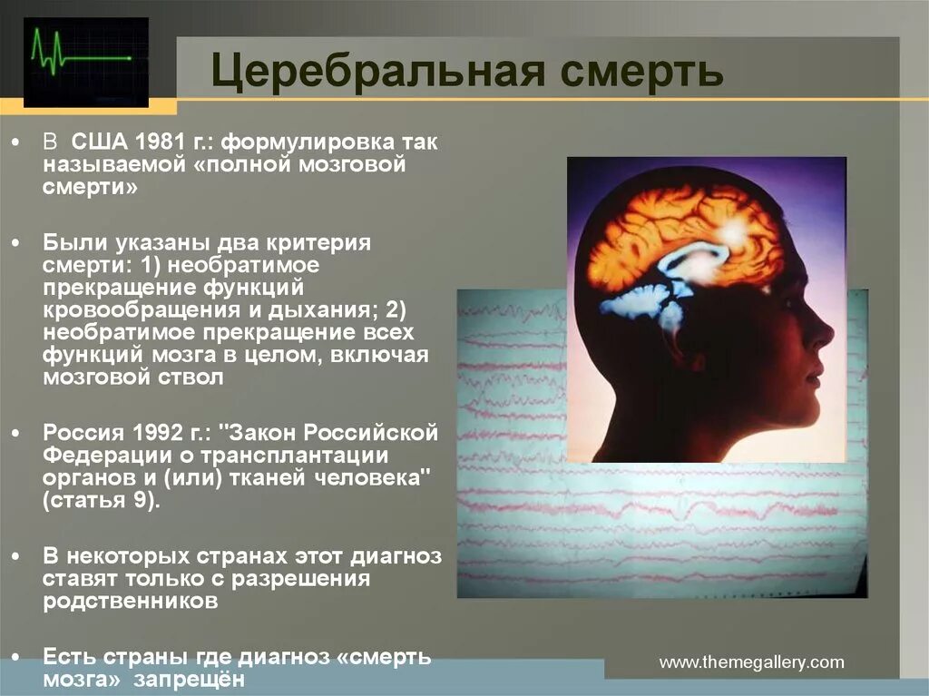 Клиническая смерть мозга. Смерть мозга последствия. Необратимые изменения мозга