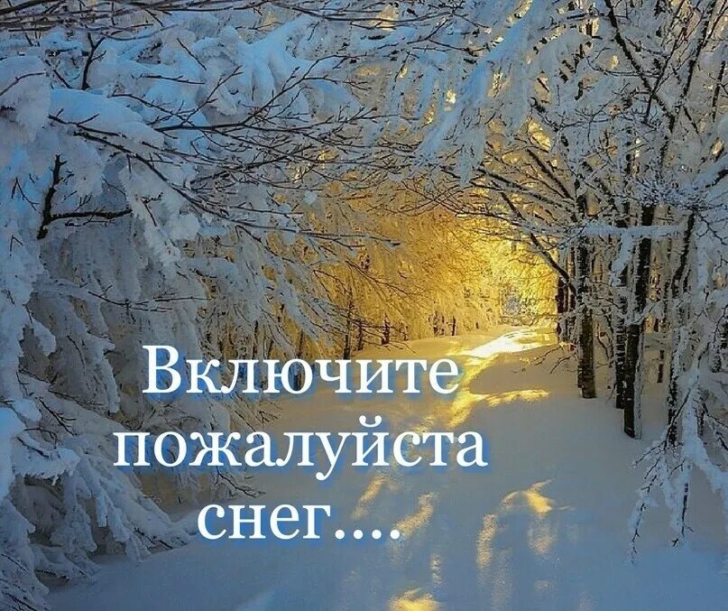 чзх ведает мем. включи где снег. включи где снег. сегодня был тяжелый день. где снег картинки прикольные.
