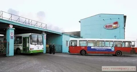 Муп патп